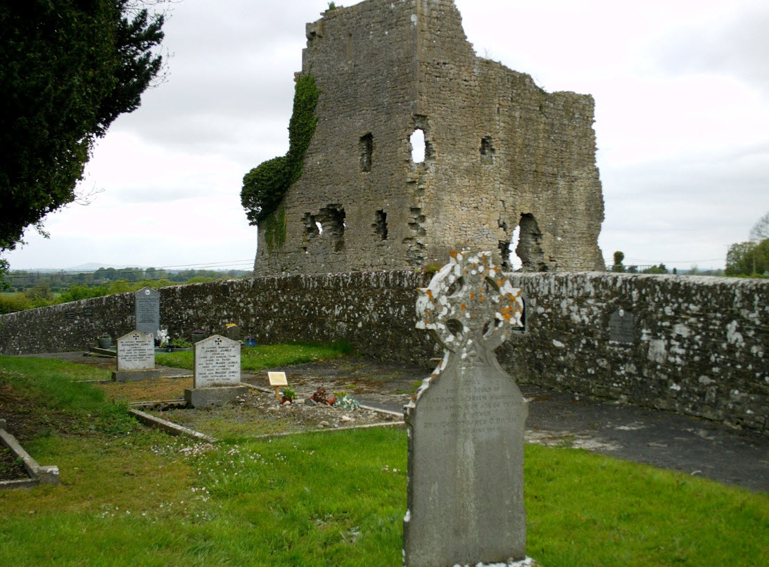 Carrickmines Castle Ruins, Ireland